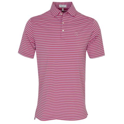 Peter Millar Dunnes Performance Golf Polo Shirt