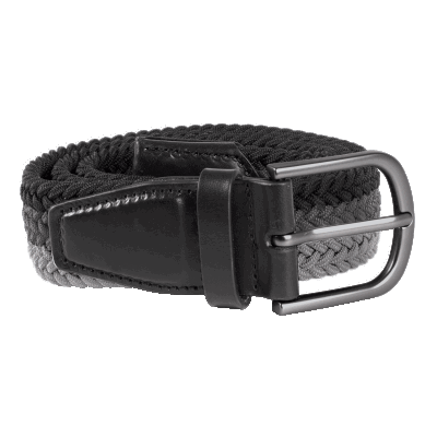 Galvin Green Will Elastic Braided Belt